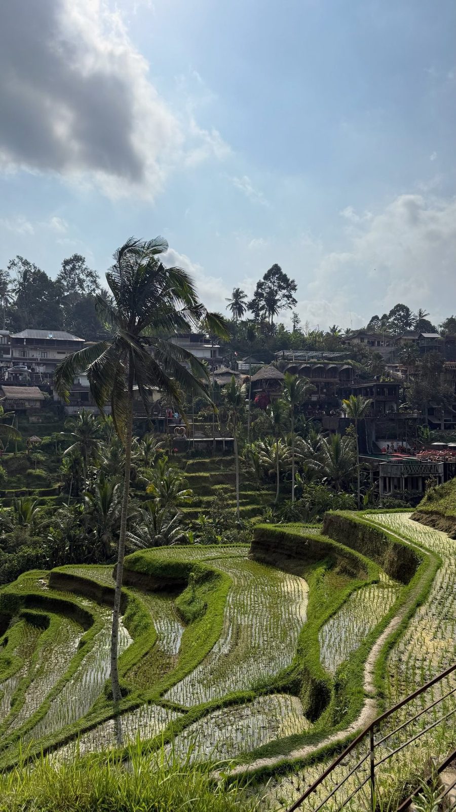 Bali in photos