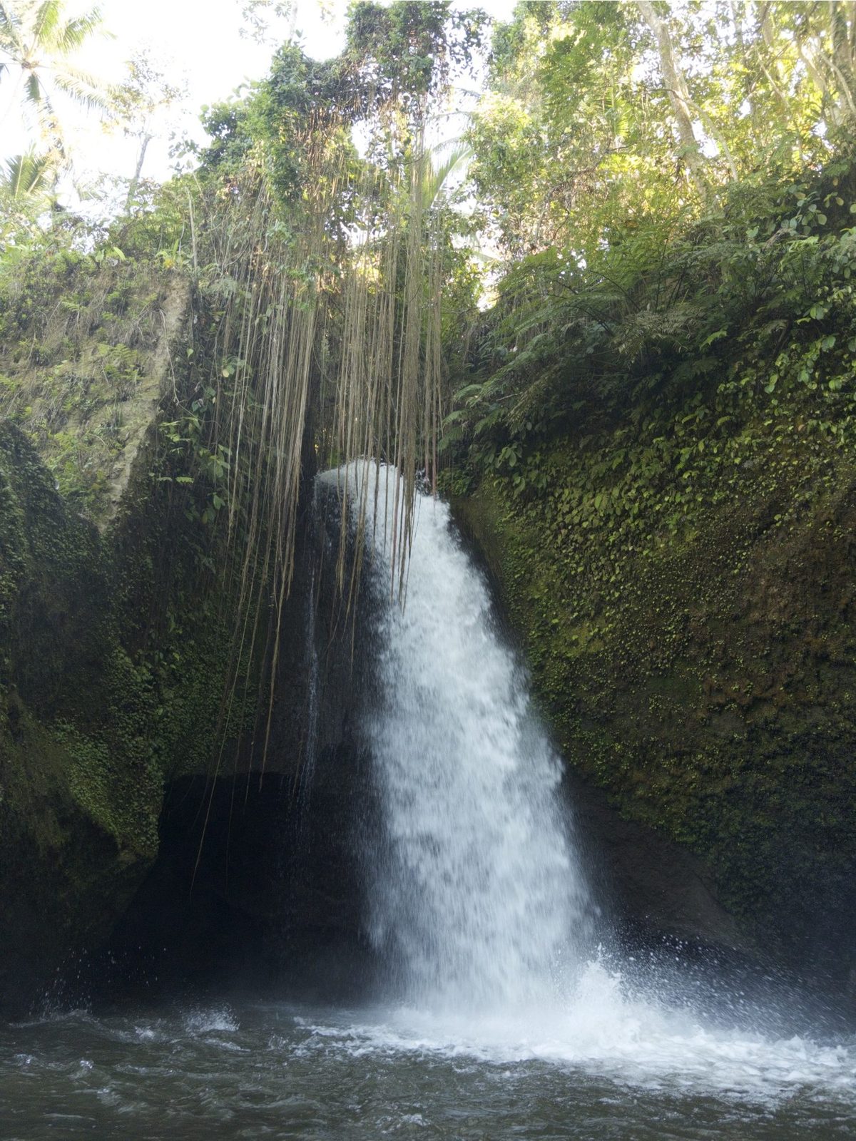 Bali in photos