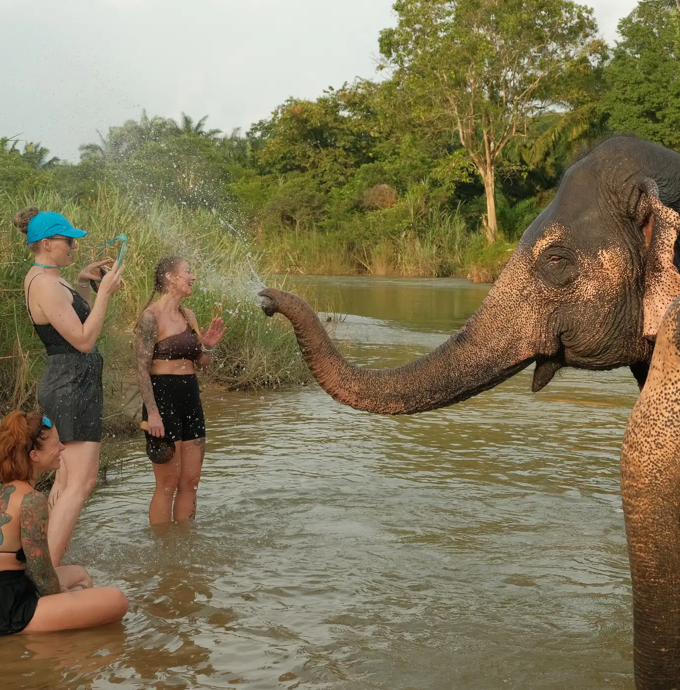 Ethical Elephant Experience
